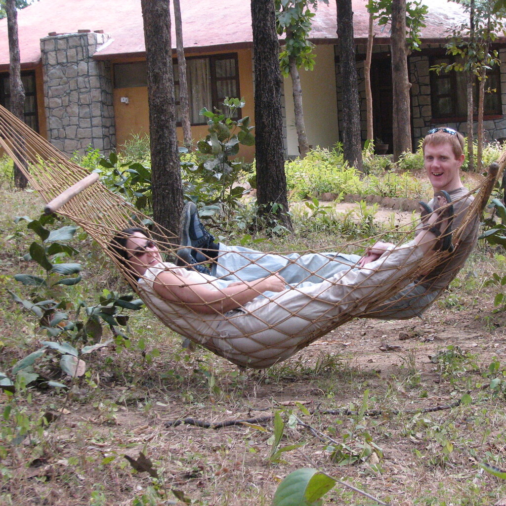 Photo of a hammock between two palm trees