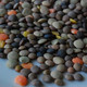 Photo of lentils