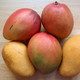 Photo of mango fruit