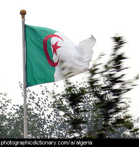 Photo of the Algerian flag