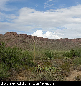 Photo of Arizona scenery