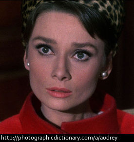 Actress Audrey Hepburn.