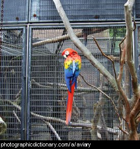 Photo of an aviary