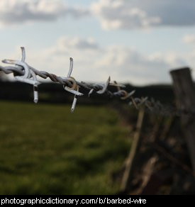 Photo of some barbed wire