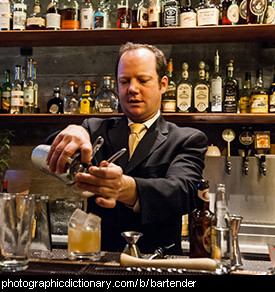 Photo of a bartender