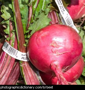 beets vegetables