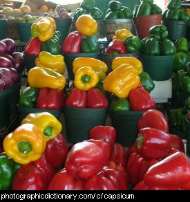 Photo of capsicums