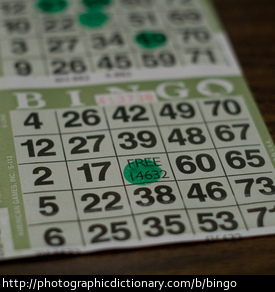 A bingo card.
