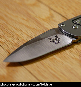 Photo of a knife blade