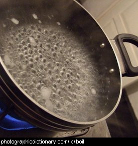 Photo of boiling water