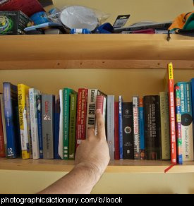 Photo of a shelf full of books