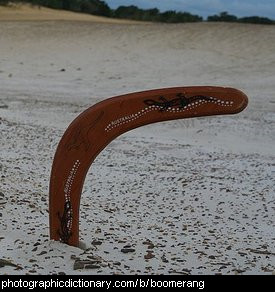 Photo of a boomerang