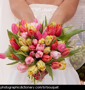 Photo of a bouquet of flowers