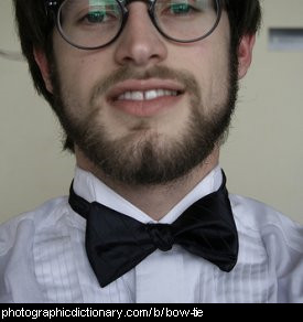 Photo of a man wearing a bow tie.