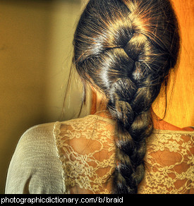 Photo of a woman with braided hair