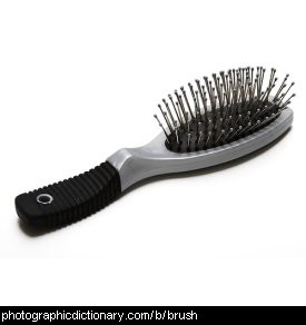 Photo of a hairbrush