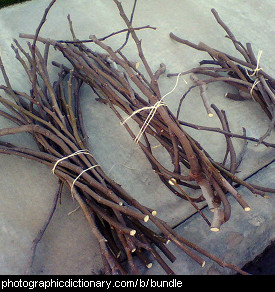 Photo of some bundles of sticks