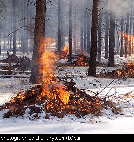 Photo of burning wood