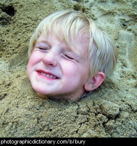 Photo of a boy buried up to his neck in sand
