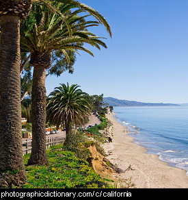 Photo of a Californian beach
