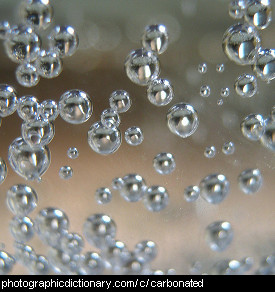 Photo of a fizzy drink up close.
