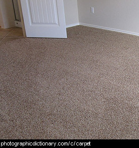 Photo of broadloom carpet