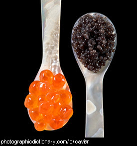 Photo of caviar.