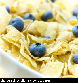 Photo of breakfast cereal