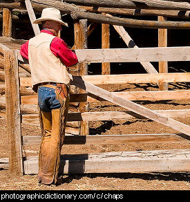 Photo of a cowboy wearing chaps