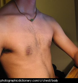 Photo of a man's chest