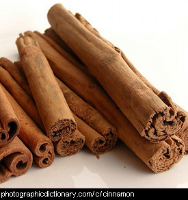 Photo of cinnamon bark