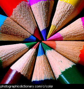 Photo of colored pencils