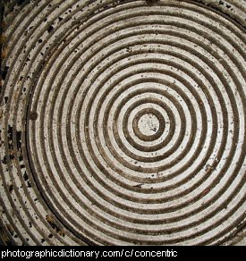 Photo of concentric circles