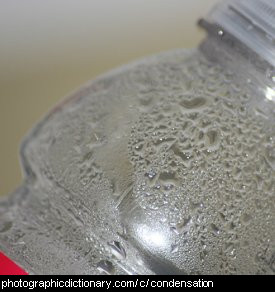 Photo of condensation on a bottle