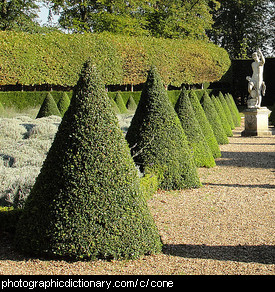 cone objects around the house