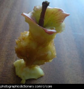 Photo of an apple core