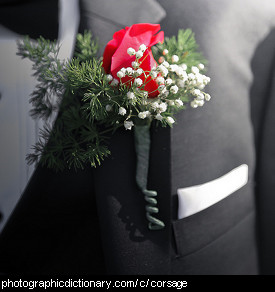 Photo of a corsage