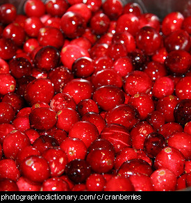 Photo of cranberries.