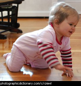Photo of a baby crawling