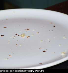 Photo of crumbs on a plate