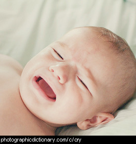 Photo of a crying baby