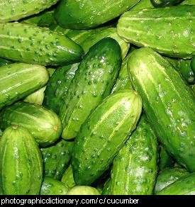 Photo of cucumbers