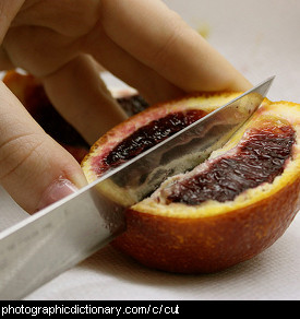 Photo of someone cutting a blood orange