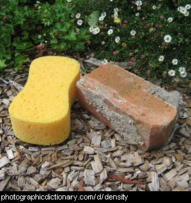 Photo of a brick and a sponge.