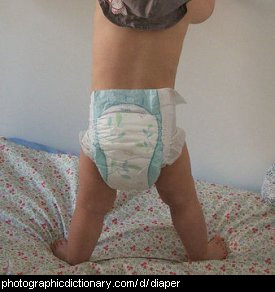 Photo of a baby wearing a diaper
