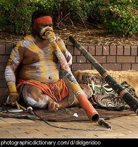 Photo of an Aboriginal playing a didgeridoo.