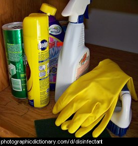 Photo of cleaning products