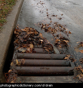 Photo of a drain