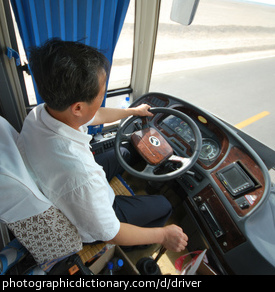 Photo of a bus driver