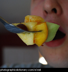 Photo of someone eating fruit salad.